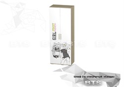 Сенди Шкаф 2-х створчатый ШК-09 BTS BTS МФ - фото 1