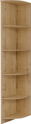 Светлана Шкаф-купе 3х створчатый без зеркала с углом №11 Союз-мебель Союз-мебель МФ - фото 3