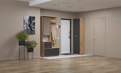 Антре Шкаф для прихожей 65.08 ОЛМЕКО МФ Олмеко - фото 2